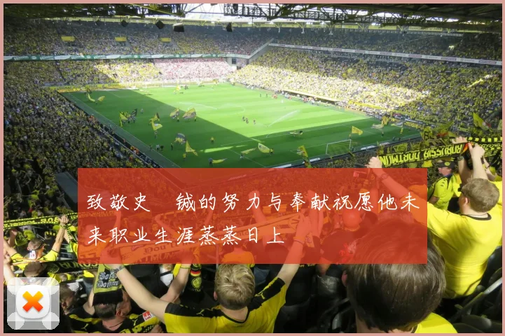 致敬史堉铖的努力与奉献祝愿他未来职业生涯蒸蒸日上