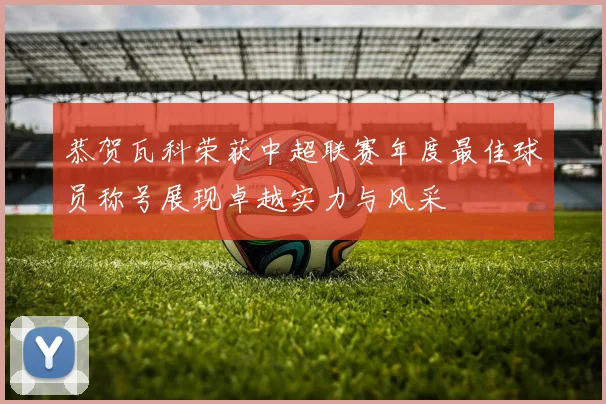 恭贺瓦科荣获中超联赛年度最佳球员称号展现卓越实力与风采