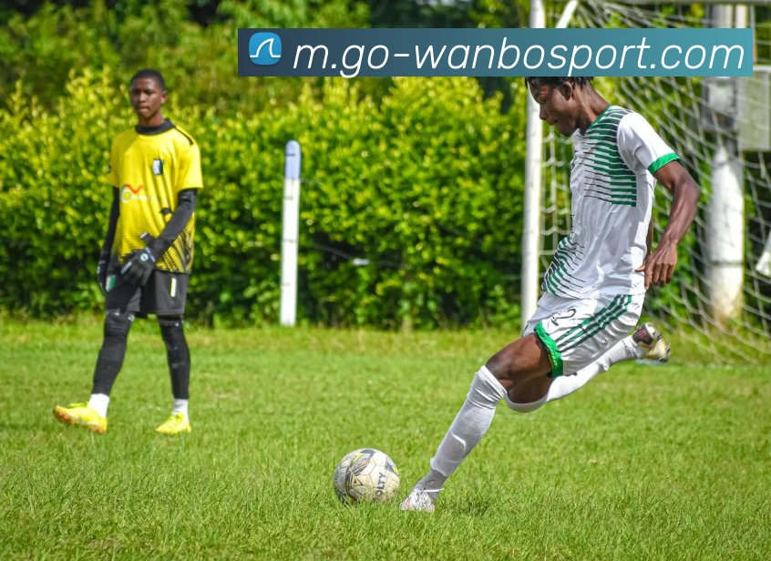 App Interface Preview