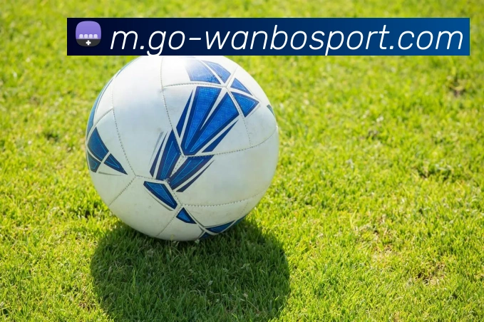 万博体育APP 封面图